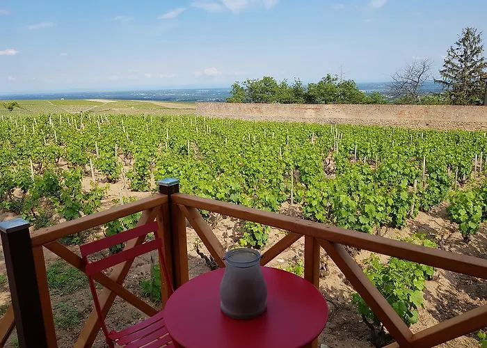 בית כפרי La Roulotte De Chiroubles