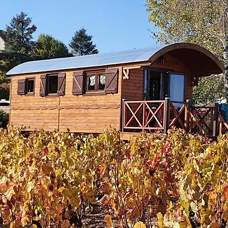 La Roulotte De בית כפרי Chiroubles