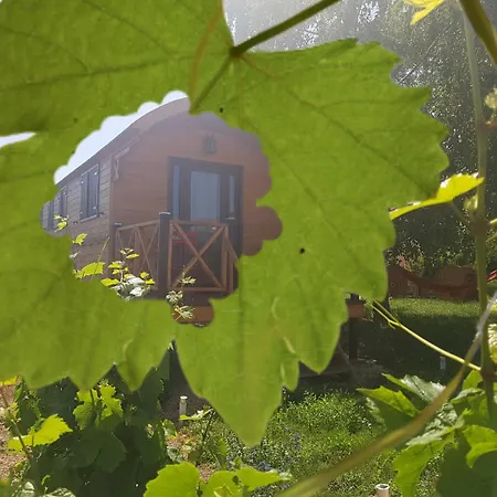 בית כפרי La Roulotte De *