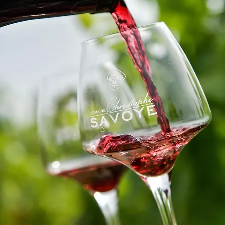 בית כפרי La Roulotte De Chiroubles